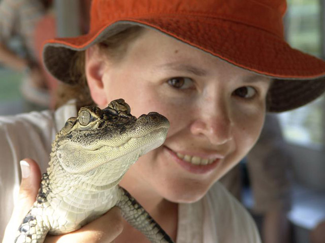 alligator02