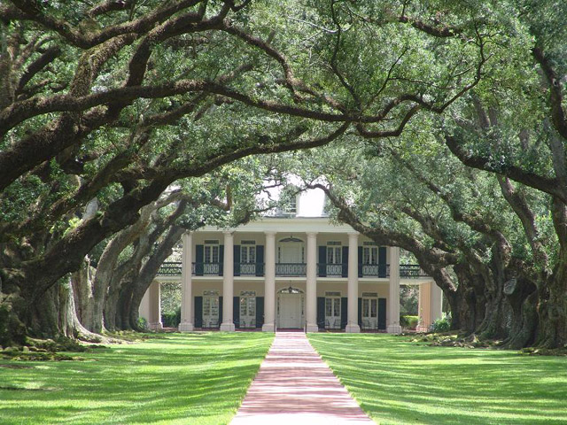gonewiththewind