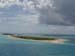 bush_key